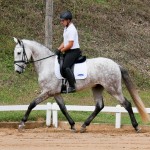 Leucon Interagro at 2nd phase of Interagro Dressage Ranking 2018