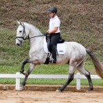 Leucon Interagro at 2nd phase of Interagro Dressage Ranking 2018