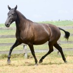 Líbia Interagro/Martina Brandes