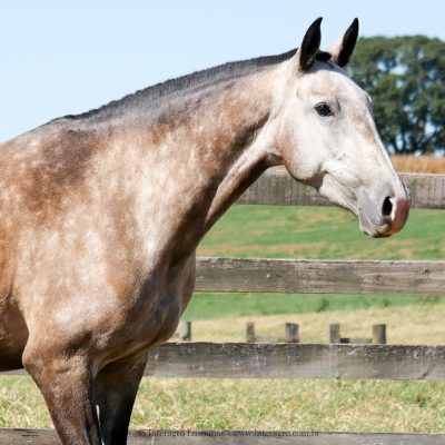 Liturgia Interagro/Interagro Lusitanos