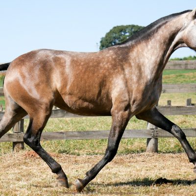Liturgia Interagro/Interagro Lusitanos
