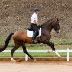 Luca Interagro at 2nd phase of Interagro Dressage Ranking 2018