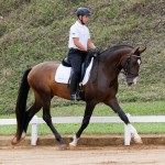 Luca Interagro at 2nd phase of Interagro Dressage Ranking 2018