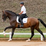 Luca Interagro at 2nd phase of Interagro Dressage Ranking 2018
