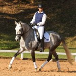 Mágico Interagro, grey Lusitano gelding/TUPA