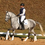 Mágico Interagro, grey Lusitano gelding/TUPA