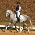 Mágico Interagro, grey Lusitano gelding/TUPA