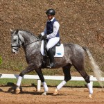 Mileto Interagro, grey Lusitano/TUPA