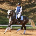 Mileto Interagro, grey Lusitano/TUPA