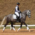 Mileto Interagro, grey Lusitano/TUPA