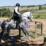 Mágico Interagro, talented Lusitano in training for Working Equitation for sale