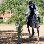 Mágico Interagro, talented Lusitano in training for Working Equitation for sale