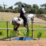 Mágico Interagro, talented Lusitano in training for Working Equitation for sale