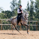 Mágico Interagro, talented Lusitano in training for Working Equitation for sale