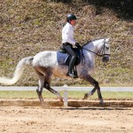 Mágico Interagro/Interagro Lusitanos