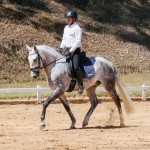 Mágico Interagro/Interagro Lusitanos