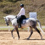 Mágico Interagro/Interagro Lusitanos