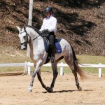 Matreiro Interagro/Interagro Lusitanos