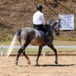 Mileto Interagro/Interagro Lusitanos