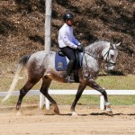 Mileto Interagro/Interagro Lusitanos