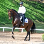 Empreiteiro Interagro/Martina Brandes