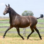 Lucila Interagro/Martina Brandes