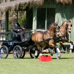 Fabio Silva driving Cagliostro Interagro & Demócrito Interagro - 3rd place Professional Pairs at the 1st phase of 2019 CBH Driving Ranking