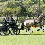 Valentim Brito with Comanche Interagro & Crispim Interagro - 2nd place Professional Pairs at 1st phase of 2019 CBH Driving Ranking
