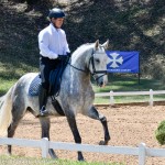 Alexandre Souza & Mágico Interagro/Photo: Martina Brandes