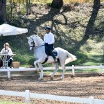 Johnny Miranda & Zepelim Interagro/Photo Martina Brandes