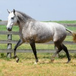 Judy Interagro/Martina Brandes