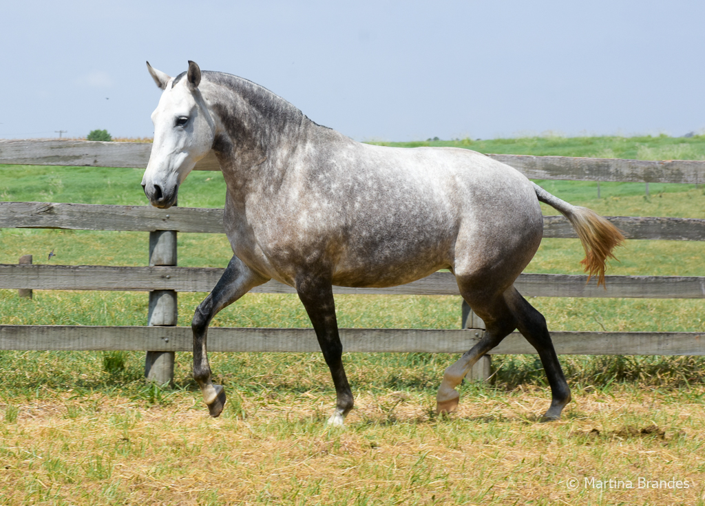 Judy Interagro/Martina Brandes