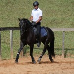 Negrito Interagro/Interagro Lusitanos