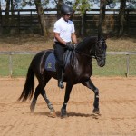 Negrito Interagro/Interagro Lusitanos