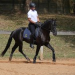 Negrito Interagro/Interagro Lusitanos