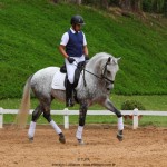 Nessus Interagro, grey Lusitano gelding Photo: TUPA