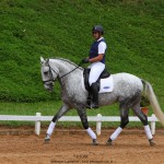 Nessus Interagro, grey Lusitano gelding. Photo: TUPA