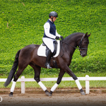 Oásis Interagro, black Lusitano gelding for sale/Photo: TUPA