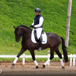 Oásis Interagro, black Lusitano gelding for sale/Photo: TUPA