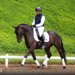 Oásis Interagro, black Lusitano gelding for sale/Photo: TUPA