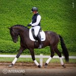 Oásis Interagro, black Lusitano gelding for sale/Photo: TUPA