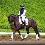 Oásis Interagro, black Lusitano gelding for sale/Photo: TUPA