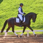 Oásis Interagro, black Lusitano gelding for sale/Photo: TUPA