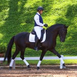 Oásis Interagro, black Lusitano gelding for sale/Photo: TUPA