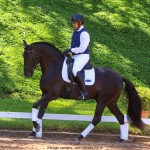 Oásis Interagro, black Lusitano gelding for sale/Photo: TUPA