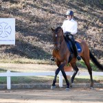 Edmar Brito & Empreiteiro Interagro