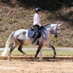 Vanderlei José & Mágico Interagro