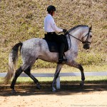 Edmar Brito & Matreiro Interagro