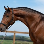 Obsequium Interagro/TUPA