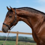 Obsequium Interagro/TUPA